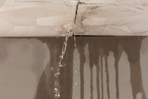 Professional Structural Drying technician working in Westville, IN